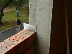 061.jpg