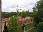 203.jpg