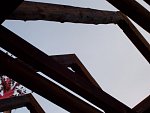 035.jpg